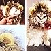 Bassion Pet Halloween Cosplay Costume Lion Mane Wig Hat for Cat or Small Dog Dress up with Ears