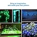 BOHON LED Fairy Lights Battery Operated 2 Pack Multi Color Changing String Lights with Remote, 16 ft 50 LEDs Decorative Siler Wire Lights for Bedroom Wedding Party Indoor (RGB)