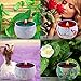 KitchenGynti Scented Candles Gift Set - Lavender, Rose, Tea Tree and Peppermint, Candle Soy Wax for Stress Relief and Aromatherapy, Candles - 4 Pack