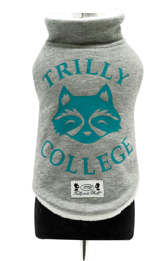 Trilly Tutti Brilli Mauger Sweatshirt with Plush interior and Thermal Vinyl Application, Light Blue, 2X-Small