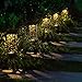 Solar Lights Pathway Outdoor Garden Powered Path Lighting Solar Glow Led Pathway Lights Front Gate Bright Solar Landscape Lights Black Waterproof Sidewalk Lamp Patio Walkway