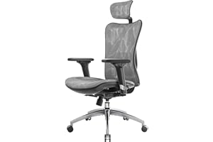 SIHOO M57 Ergonomic Office Chair with 3 Way Armrests Lumbar Support and Adjustable Headrest High Back Tilt Function Grey