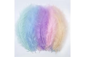 LWINGFLYER 100pcs Fluffy Turkey Marabou Feathers Assorted Pastel Colors 4-6 Inches for Crafts Feathers for Dream Catcher Fringe Trim Colored Feathers Fly Tying Material