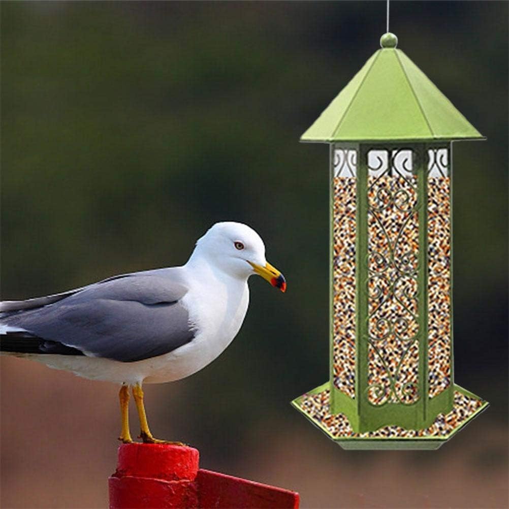 semi di uccello per mangiatoia