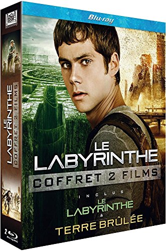 Le Labyrinthe + Le Labyrinthe : La Terre Brûlée - Blu-Ray