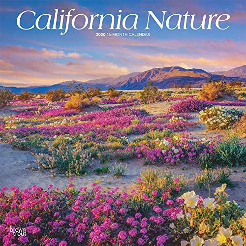 California Nature 2020 12 x 12 Inch Monthly Square Wall Calendar, USA United States of America Pacif by 
