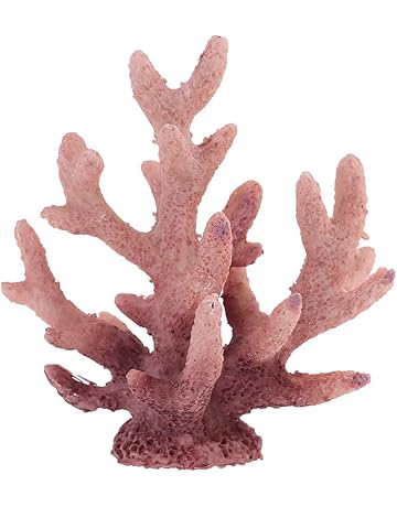 Aquarium Corals Amazon Co Uk