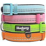 Blueberry Pet Basic Collars for Dogs 3M Reflective Summer Neoprene Padded Dog Collar in Pastel Colors, Matching Leash & Harness Available Separately