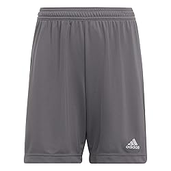 adidas Kids' Entrada 22 Training Shorts, Team Grey