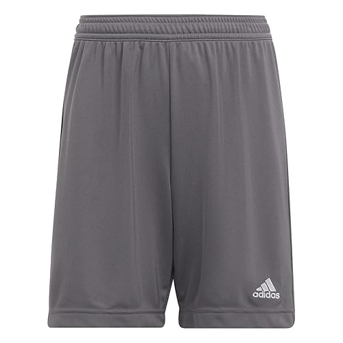 adidas Kids' Entrada 22 Training Shorts, Team Grey Four, X-Small
