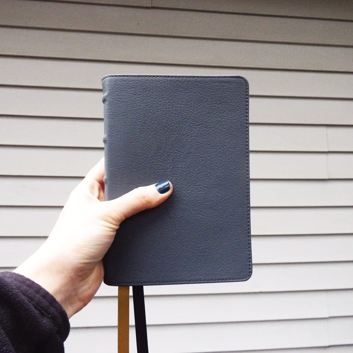 NIV, Larger Print Compact Bible, Genuine Leather, Buffalo, Blue, Red Letter, Comfort Print
