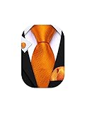 Barry.Wang 63" Mens Tie Extra Long Striped Necktie