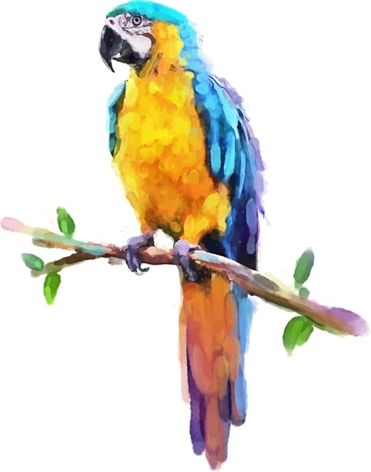 Amazon Com Innagrom Parrot Watercolor Exotic Bird Home Decal Vinyl Sticker 11 X 14 Home Kitchen