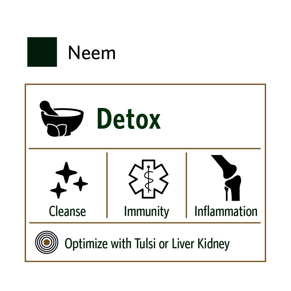 Organic India Neem Herbal Supplement - Supports Skin & Immune Health, Detox, Healthy Inflammatory Response, Vegan, Gluten-Free, USDA Certified Organic, Supports Liver Health - 90 Capsules : Neem Herbal Supplements : Beauty
