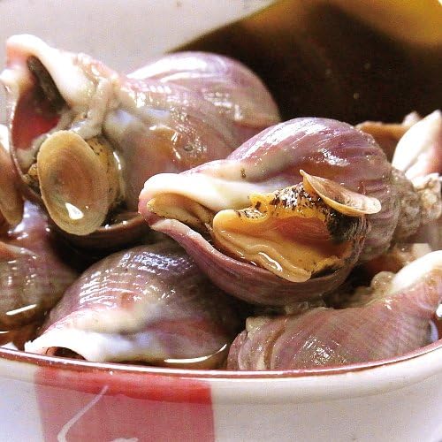 Amazon 料亭活磯つぶ 1ｋｇパック 青森めぇーもん屋 貝類 通販