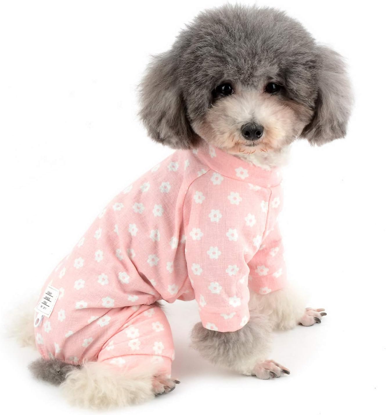 small dog pjs