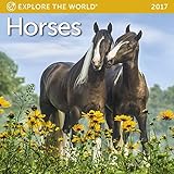 Horses Mini Wall Calendar 2017