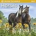 Horses Mini Wall Calendar 2017