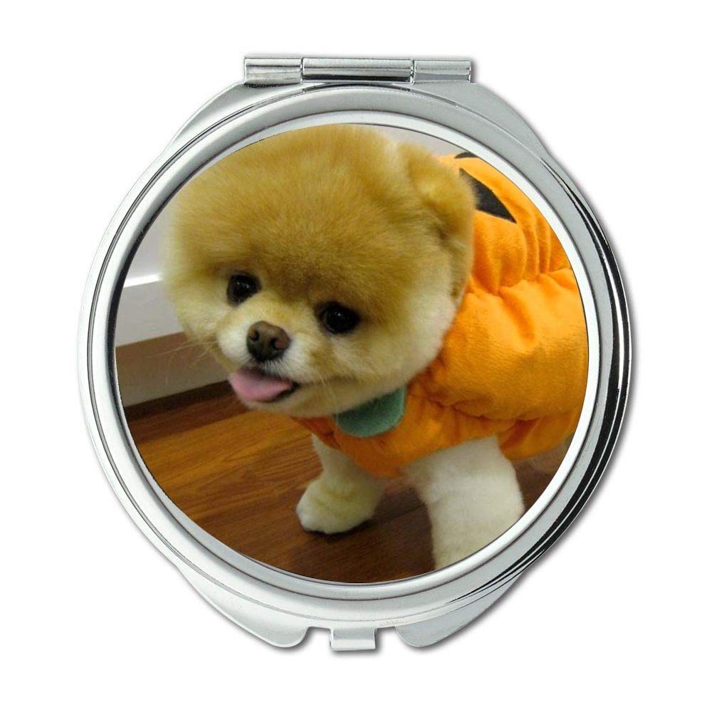 Mirror, Travel Mirror, Pupp Dog Pet boo dog, pocket mirror
