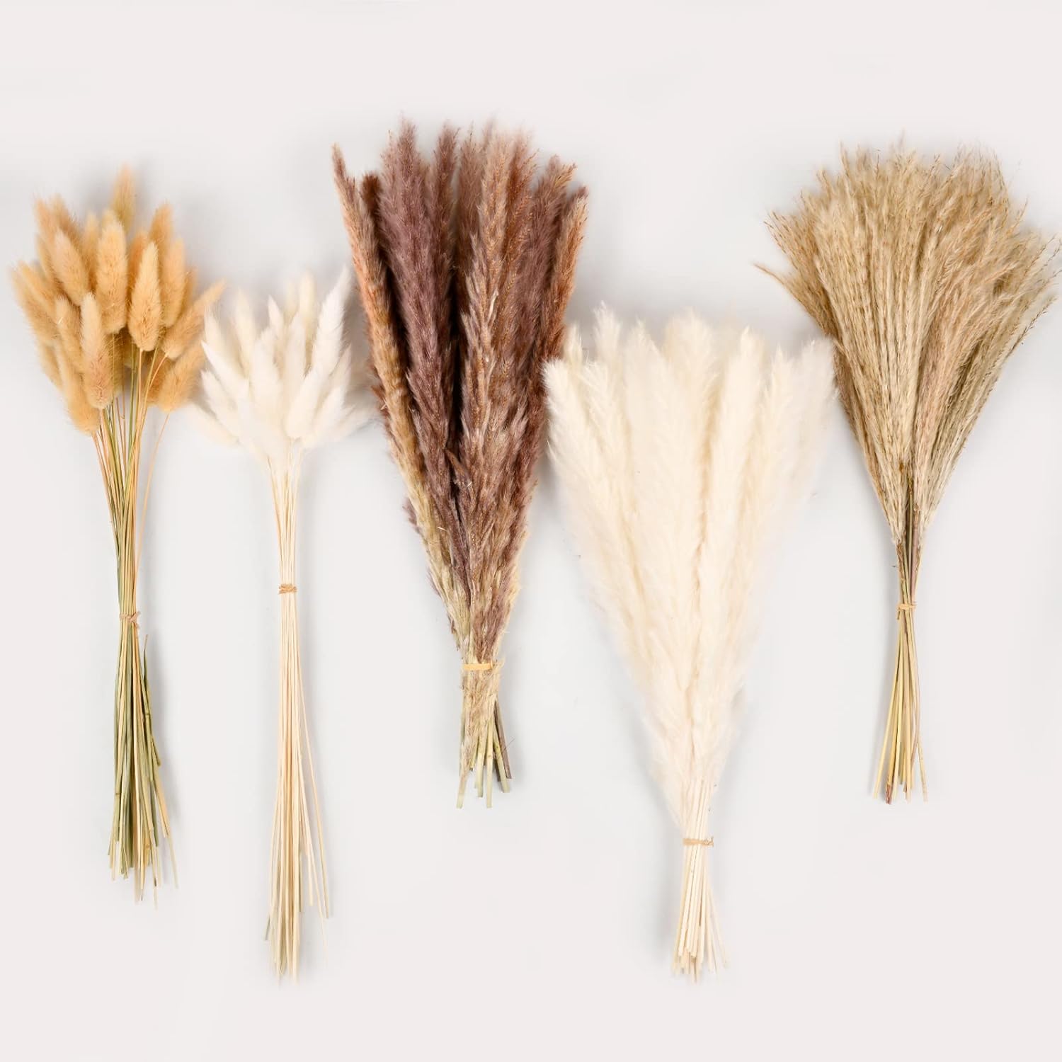 Dried & Preserved Flora - Dried Pampas Grass Decor, 110 PCS White and Brown Pampas Grass & Bunny Tails & Reed Grass Dried Flowers Bouquet for Wedding Boho Flowers Home Table Decor, Rustic Farmhouse Decor