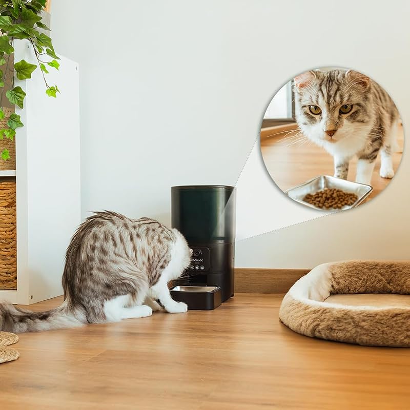 Distributore Automatico Cibo Gatti e Cani Pumba 6000 Purrfect Meal Smart Vision. Controllo Wifi, Camera, Registratore Vocale, 6L, Controllo Porzioni fino a 10mm, Allarme, Ciotola Acciaio Inox
