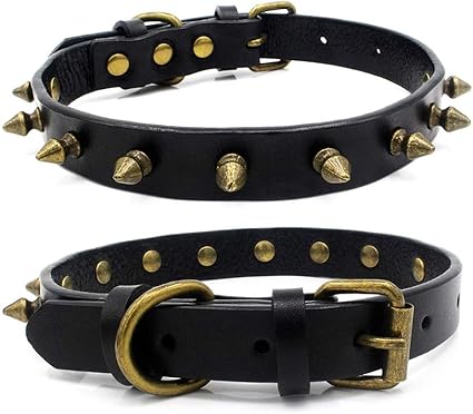 amazon spiked dog collars