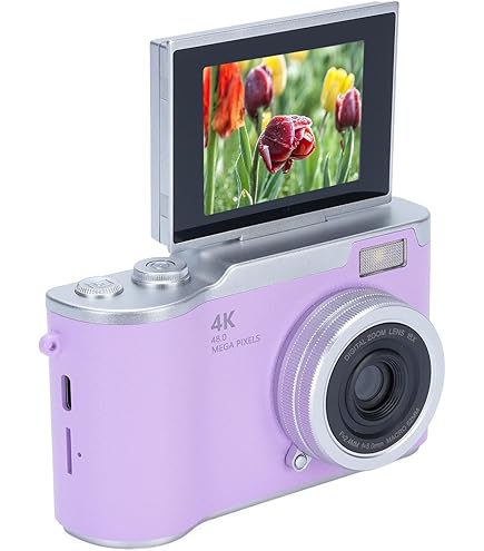 Amazon.com : 48MP 1080P Digital Camera with 2.4 Inch Flip Screen
