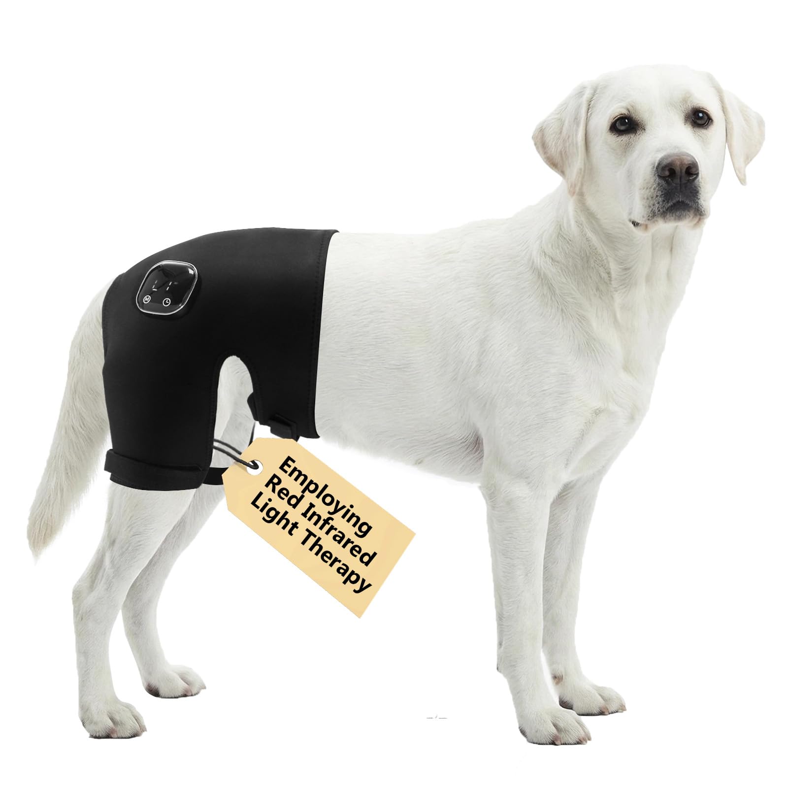 Photo 1 of HAGGEMI Dog Hip Brace with Red Infrared Light Therapy – Pain Relief for Arthritis, Hip Dysplasia, Spine Issues & Muscle Recovery, Portable & Cordless, Patent Pending(Female Dog, L)