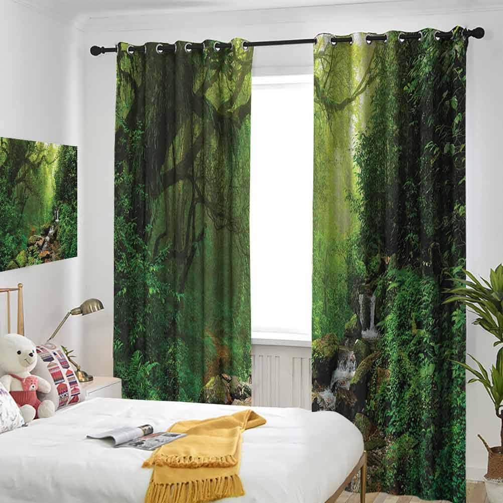 LanQiao Window Blackout Curtains，Forest in Nepal Footpath