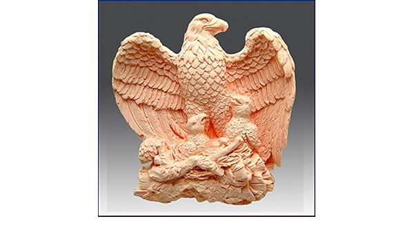 Amazon Com Majestic Eagle With Chicks Detail Of High Relief Sculpture Silicone Soap Polymer Clay Cold Porcelain Mold silicone soap polymer clay cold