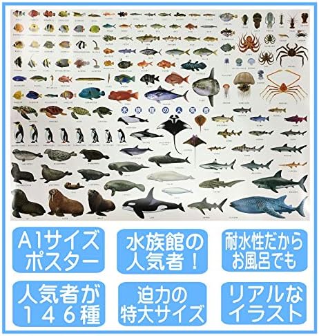 Amazon 水族館 人気者 ポスター 特大サイズ 146種 お風呂ポスター 図鑑 ａ1 サイズ 841 584mm Ki 090 C 生物 動物 人体 おもちゃ