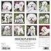 Just Bichons Frises 2019 Calendar