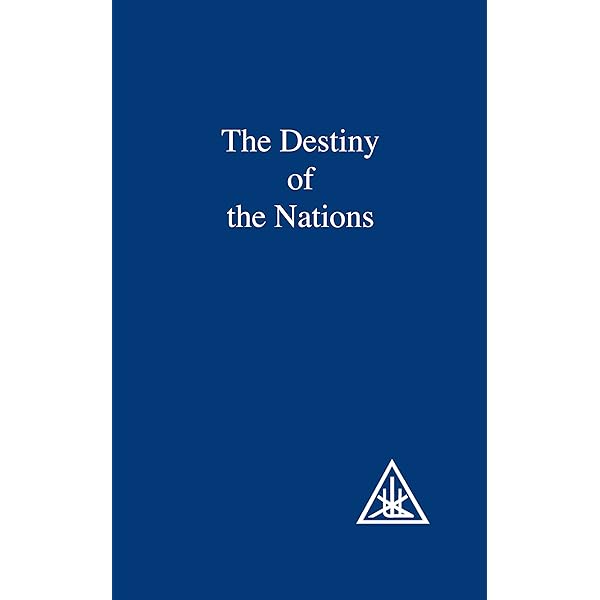 洋書 EXTERNALISATION OF THE HIERARCHY/Bailey Amazon.com: The Externalisation of the Hierarchy