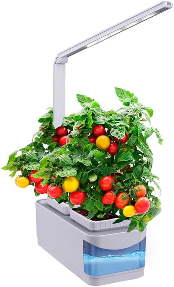 GYFHMY Indoor-Garten mit LED-Licht, intelligenter Selbststeuerung und