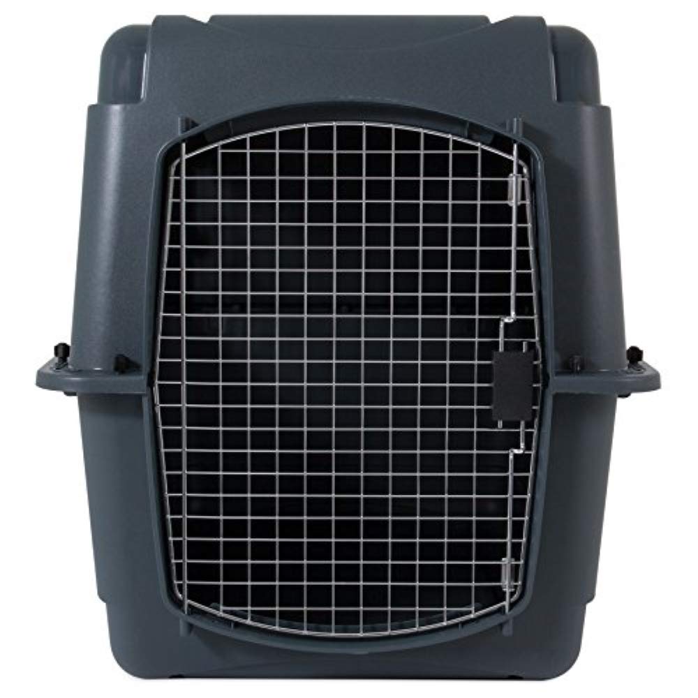 Aspen Pet Porter HeavyDuty Pet Carrier with Secure Lock, 9 Sizes, 13 Colors eBay
