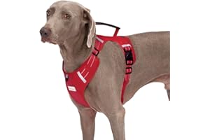 Abuandi Dog Harness Adjustable Breathable Dog Harness with No Pull PVC Handle, Reflective Dog Vest Harnesses for Small Medium Large Dogs, Easy to Walking, Training, Camping, Control Escape