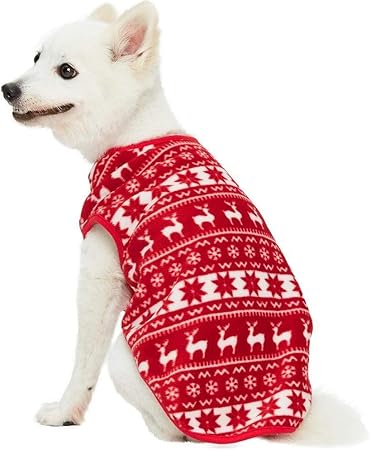 large dog water bowl