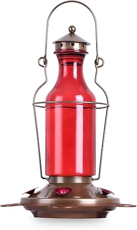 Amazon Com Bolite 18004 Hummingbird Feeder Vintage Red Wine