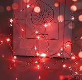 cshare Valentines Lights 50 LED 5m Battery Fairy String Red IP65 Waterproof
