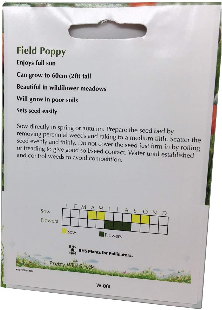 Flower Seeds 10,000 Seeds Papaver rhoeas Red Common Field Poppy Meadow Wild Flower Seed Seeds 10k Bulk Wholesale by Pretty Wild Seeds BN Pictorial Seed Packets Fresh Seeds - Image 3