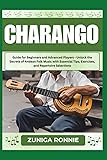 CHARANGO: Guide for Beginners and Advanced Players