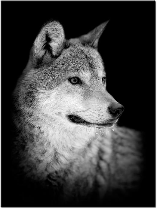 Amazon Com Levvarts Wolf Canvas Print Portrait Of Beautiful