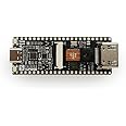 Kocoo Sipeed Lichee Tang Nano 4K Gowin Minimalist FPGA GoAI Development Board HDMI Camera (Lichee Tang Nano 4K with Camera)