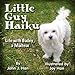 Little Guy Haiku: Life with Bailey, a Maltese by 