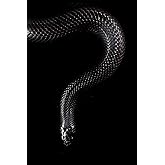 Snake Notebook: Blank Lined Journal, Softcover (6x9 inches) with 100 Pages