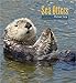 2017 Sea Otters Wall Calendar