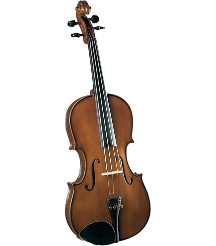 Amazon.com: Stentor 1038-14 Student Viola Outfit, 14-Inch