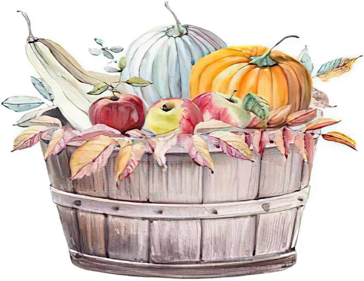 Amazon.com: Aofire Harvest Pumpkin Diamond Painting Kits for Adults