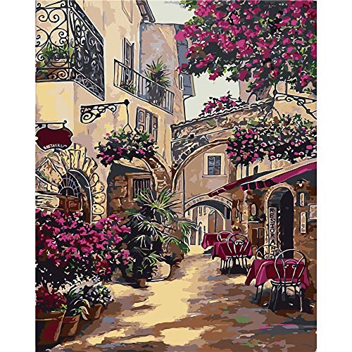 YANXIN DIY Paint by Numbers Adults,16x20 Inch Canvas Painting by