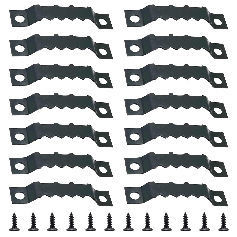 Ruidee 100 PCS Sawtooth Picture Frame Hangers Picture Frames Holder Hooks Double Hole with Screws Wall Hooks for Hanging Art Photo ,Painting ,Home Decoration(Black/JC)